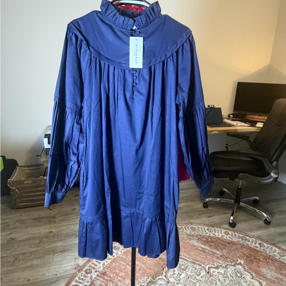 Blue Ruffled Long Sleeve Dress NWT